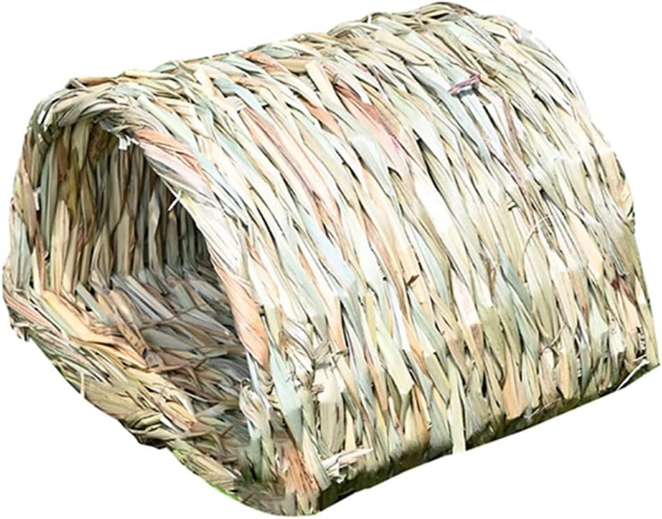 Grass Tunnel Woven House for