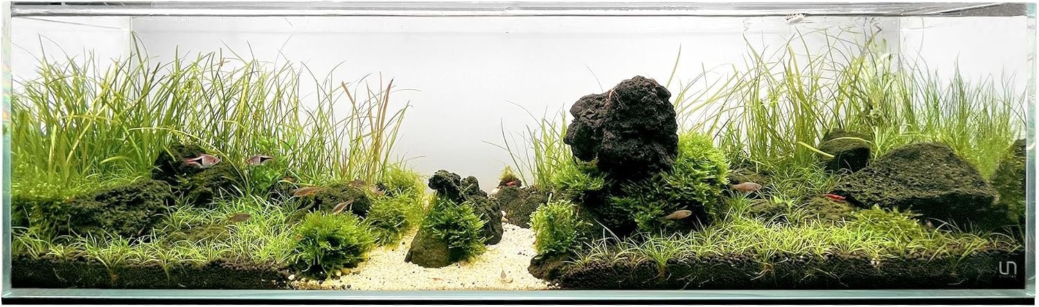 UNS Ultra Clear Rimless Tank – 11.8GAL | 45L – 35.43×7.87×9.84 | 90x20x25 CM, 6mm Glass Thickness, Leveling Mat Included – Low Iron, High Clarity Fish Tank w/ 45° Mitered Edge – [90B]