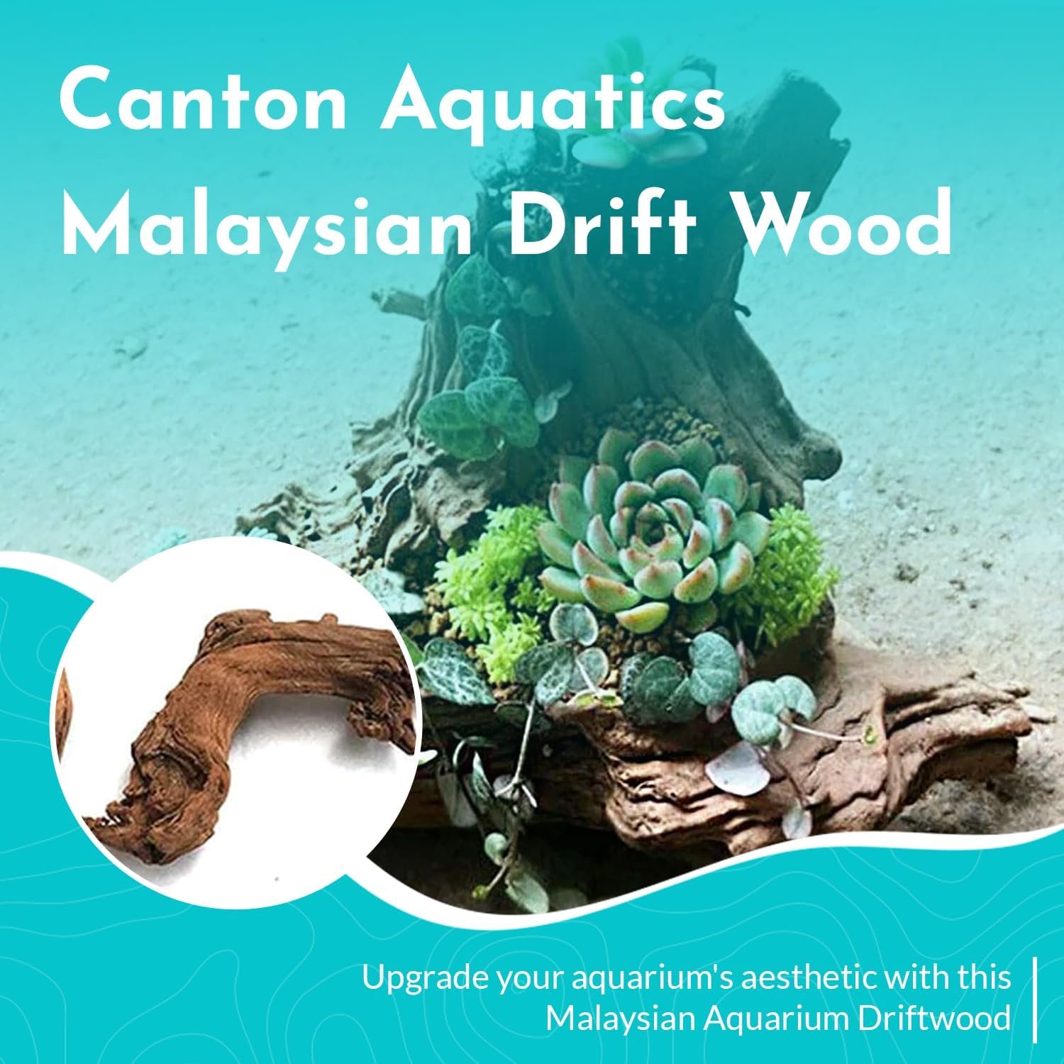 Malaysian Drift Wood Aquascaping Aquarium Decoration