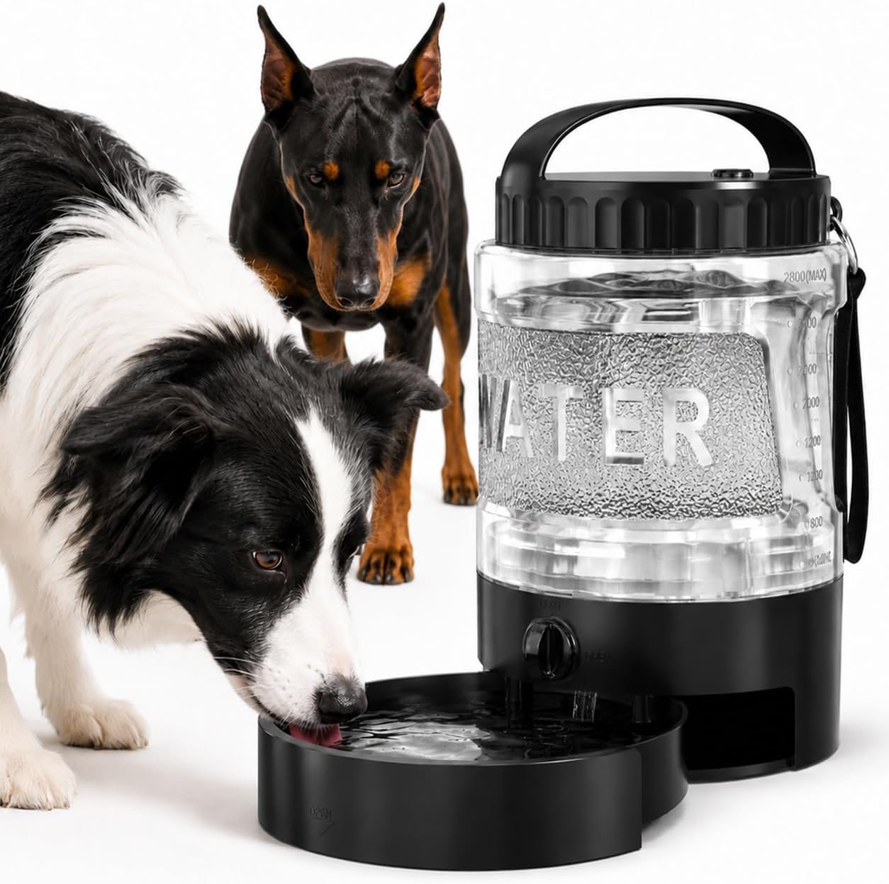 Portable Dog Water Bottle with Travel Bowl, 98 oz/2.8 L, Black