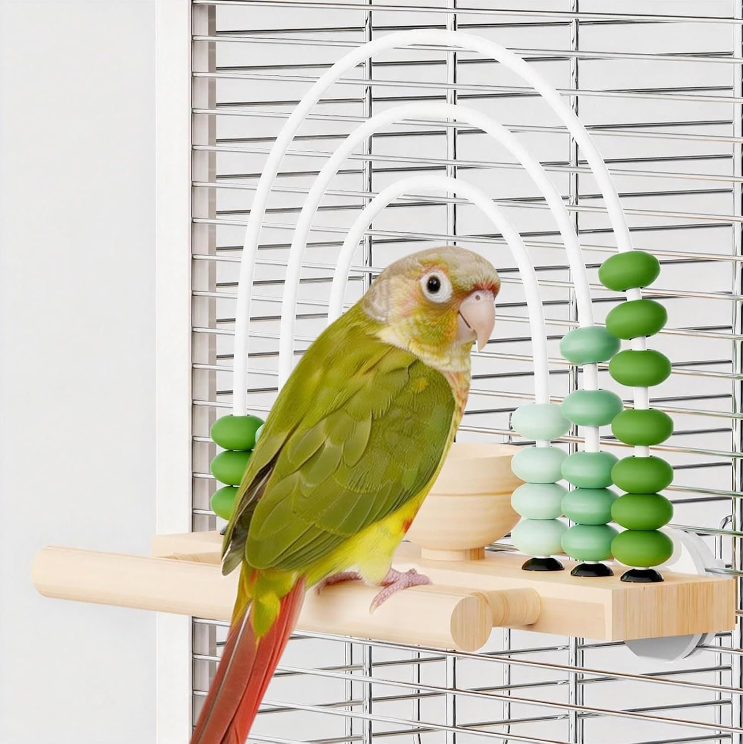 Wooden Foraging Bird Toy with Treat Box & Abacus Beads