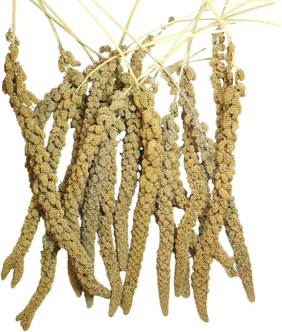 Natural Spray Millet 2lb – Non-GMO, Chemical-Free, Hand-Harvested Fresh Treat for Parakeets, Cockatiels, Finches, and Small Pets