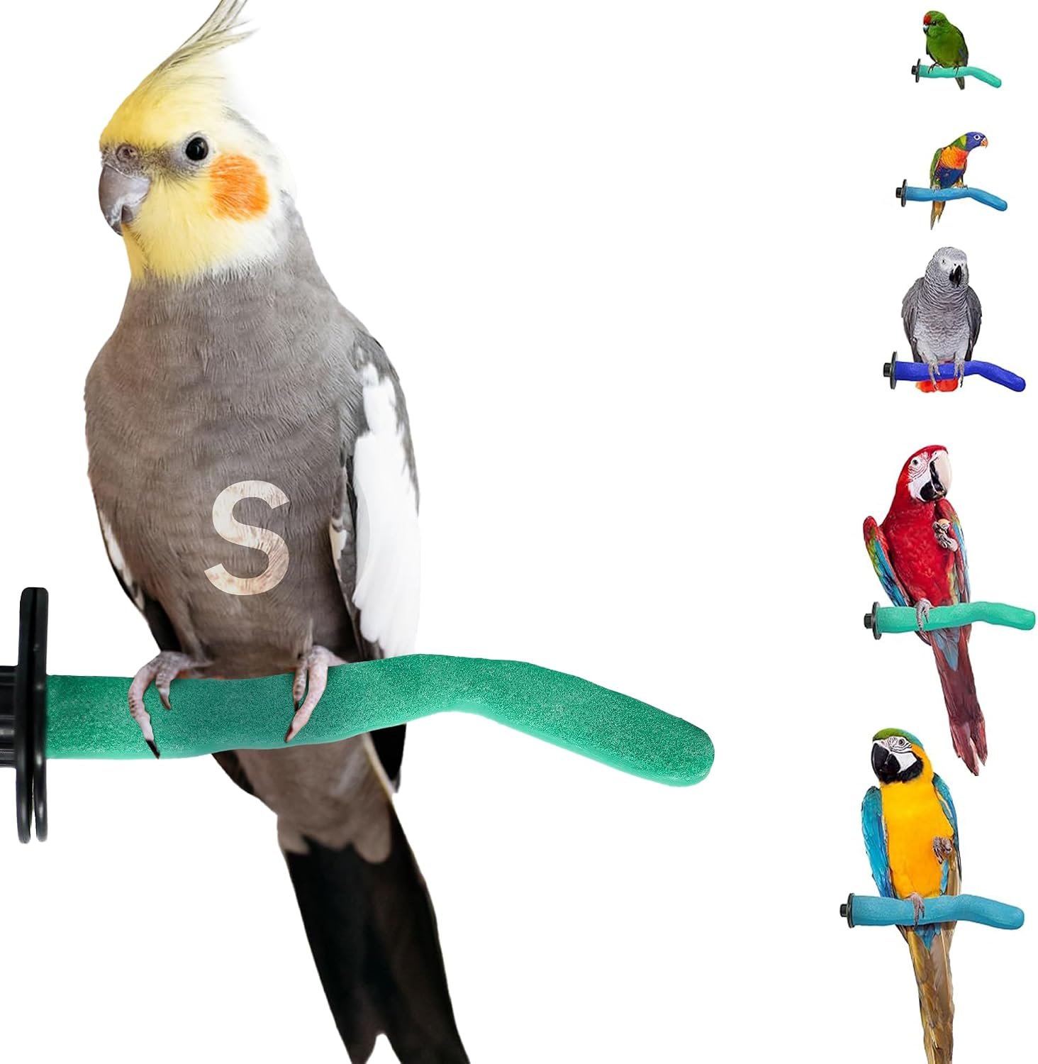 Sweet Feet and Beak Safety Pumice Bird Perch, Small Pedicure Perch, Green