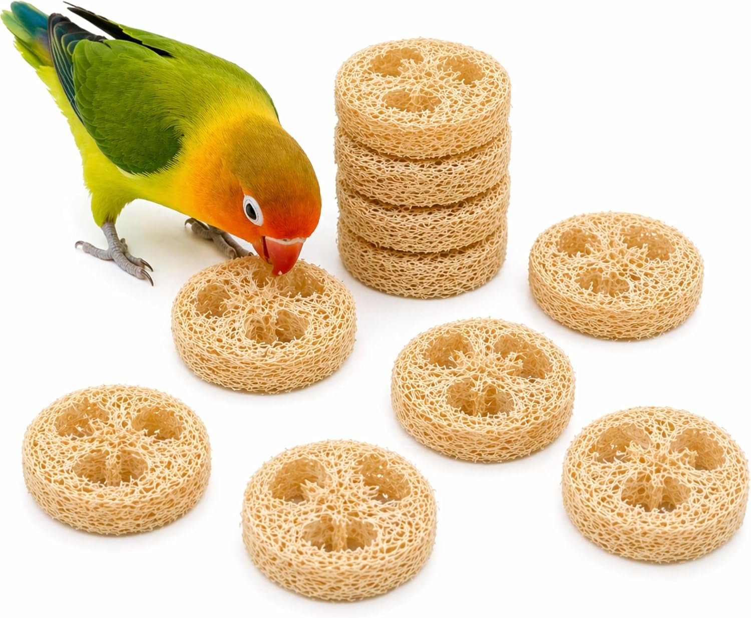 Parrot Shredding Chew Foraging Toys, 10pcs Loofah Chewing Parrot Toys, Bird Cage Shredder Toy, Bird Toy for African Grey Macaws Cockatoos Cockatiel Conure (10 Loofah Slices)