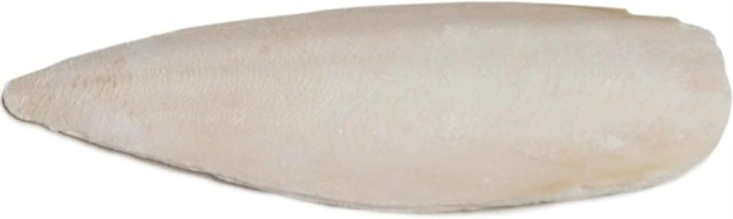 Prevue Pet Products Cuttlebone Pack with Holder – Medium