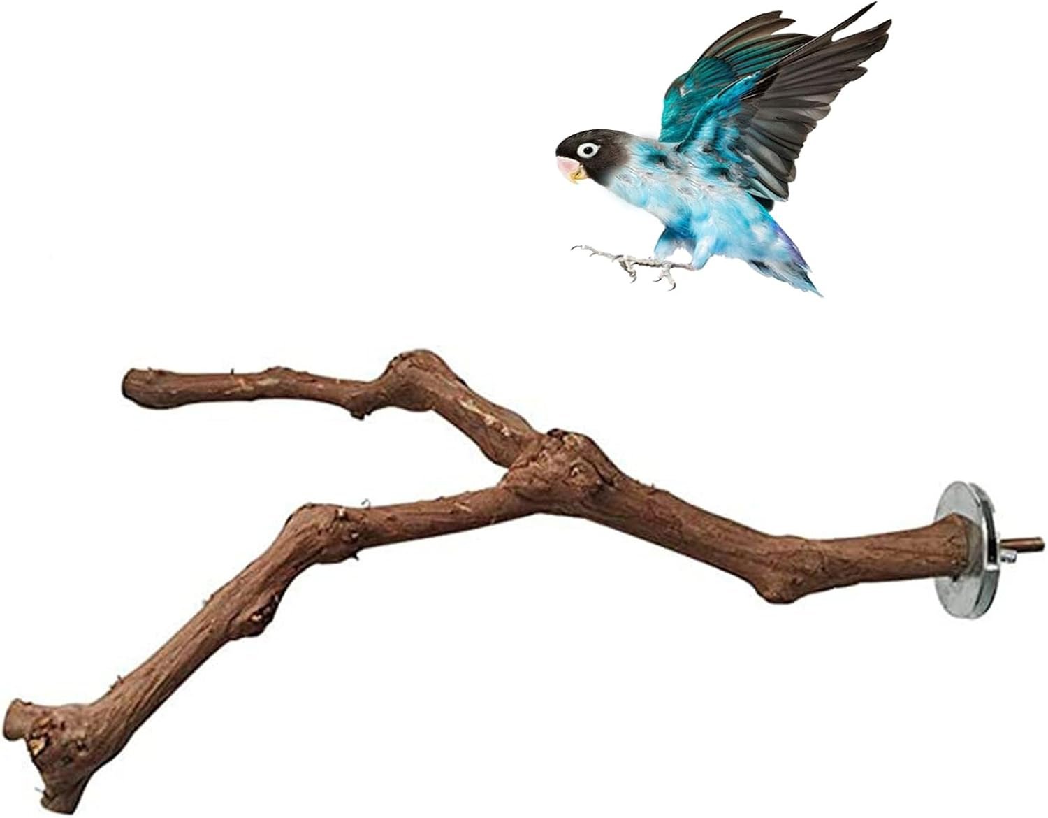 PINVNBY Parrot Perches Natural Birds Stand Wild Grape Stick Grinding Paw Climbing Wood Cage Accessories and Toy for Parakeet, Lovebirds,Budgies,Cockatiels and Finches