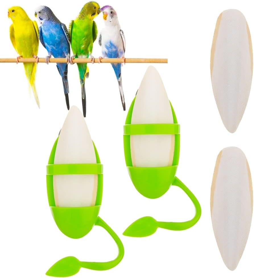 2 Pcs Cuttlebone Holder for Bird Cage – Bowl Stand Food Holder with 4 Pcs Cuttlebone for Parrot, Budgie, Conure (4.7-5.5 inch)