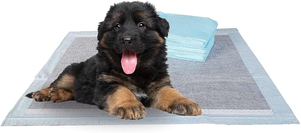 BV Charcoal Puppy Pads XL 40 Count 34″x28″ – Leak-Proof Pee Pads for Dogs with 6-Layer Absorbent Design & Built-in Attractant – Dog Pad Extra Large with Charcoal for Odor Control – for Large Dogs