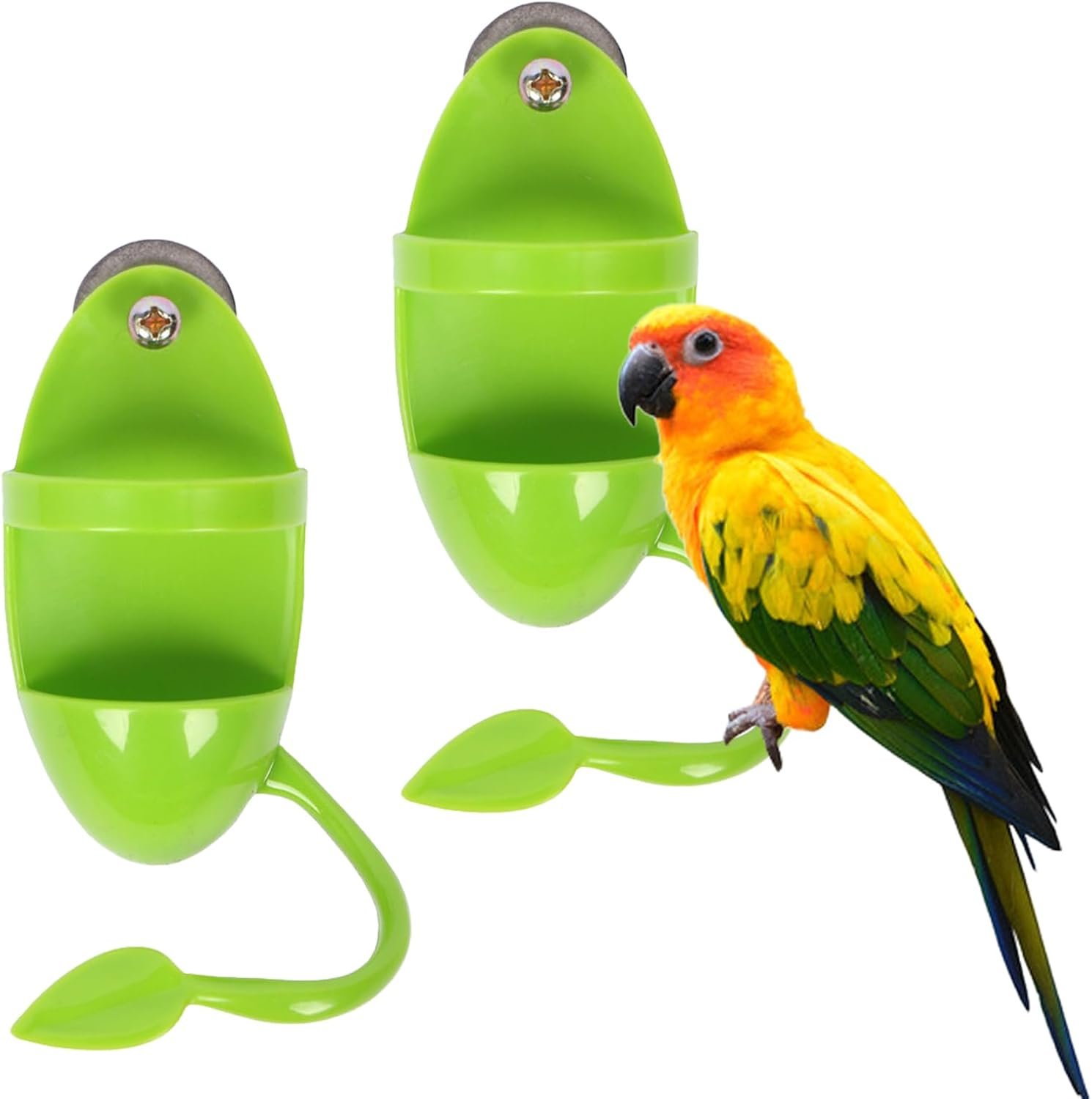 NEWHOOK 2pcs Cuttlebone Food Holder/Feeder for Bird Cage Green