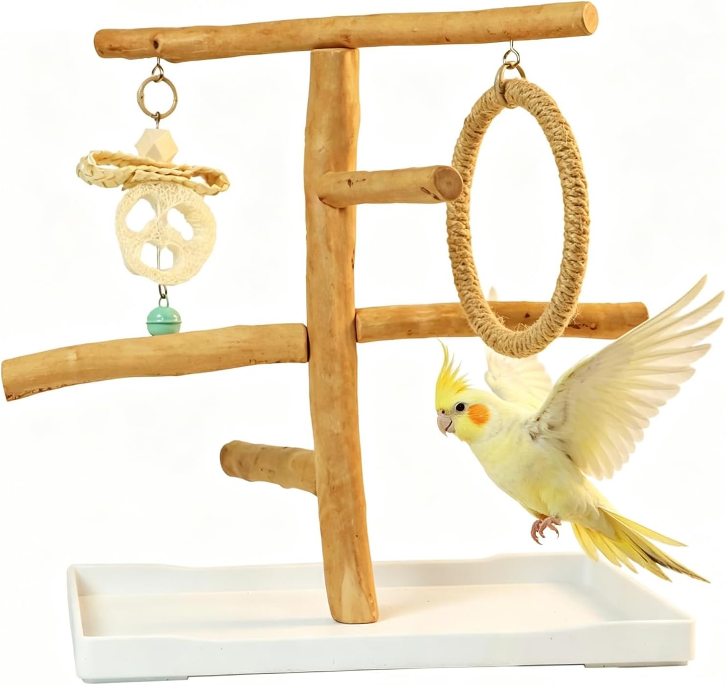 Parrot Playground for Small Birds – Natural Wood Tabletop Play Gym