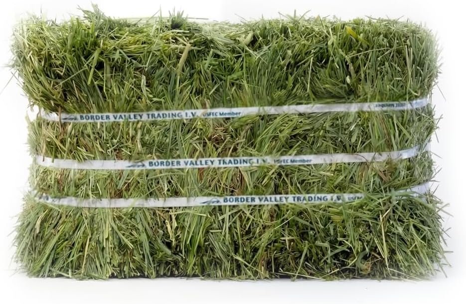 Border Valley Timothy Hay for Rabbits, Guinea Pigs & Tortoises, 40 lb Bale