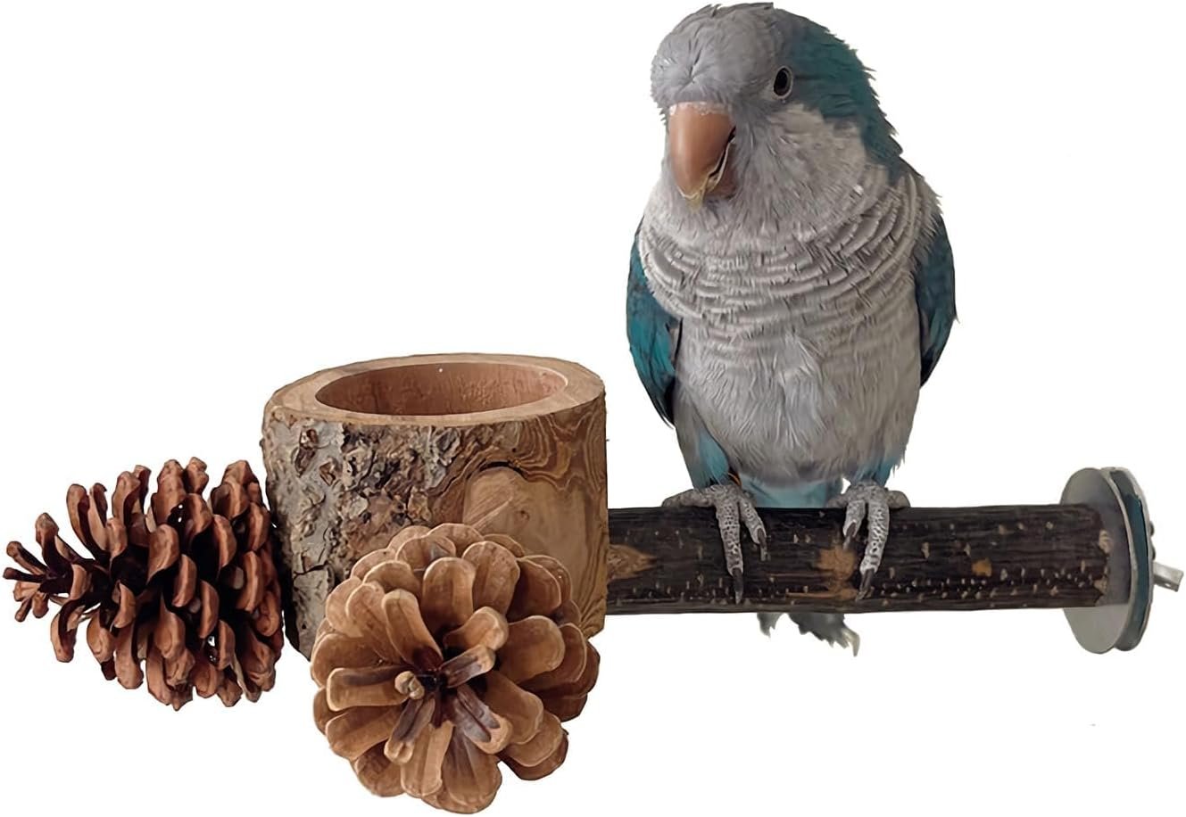 Bird Perch with Feeder for Cage & Chew Toys Pinecones – Bird Cage Accessories 100% Natural & Durable for Cockatiel, Conure, Budgie, Lovebird, Parakeet – Parrot Food Treats Bowl for Foraging