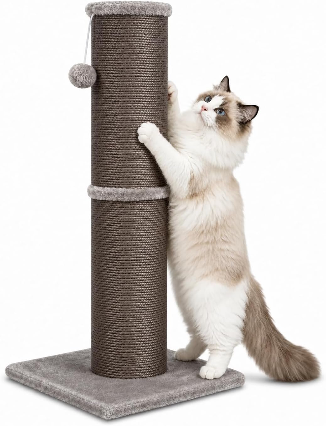 Cat Scratching Post with 5.5 Inch Diameter Sisal Post, 32 Inch, Grey