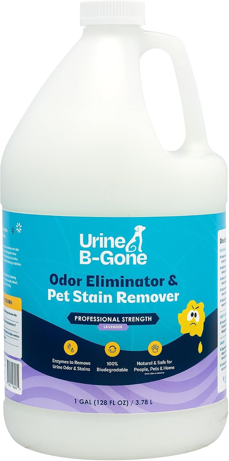 Urine B-Gone Enzyme Cleaner for Human, Cat & Dog Urine, Lavender, 1 Gallon