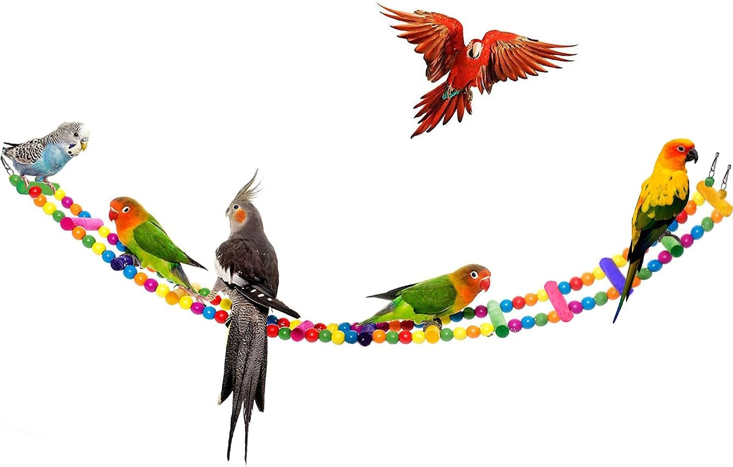 SunGrow Bird Ladder Bridge, 31×4 Inches, Raw Wood and Edible Dye, Suitable for Small to Medium Birds, 1 Piece