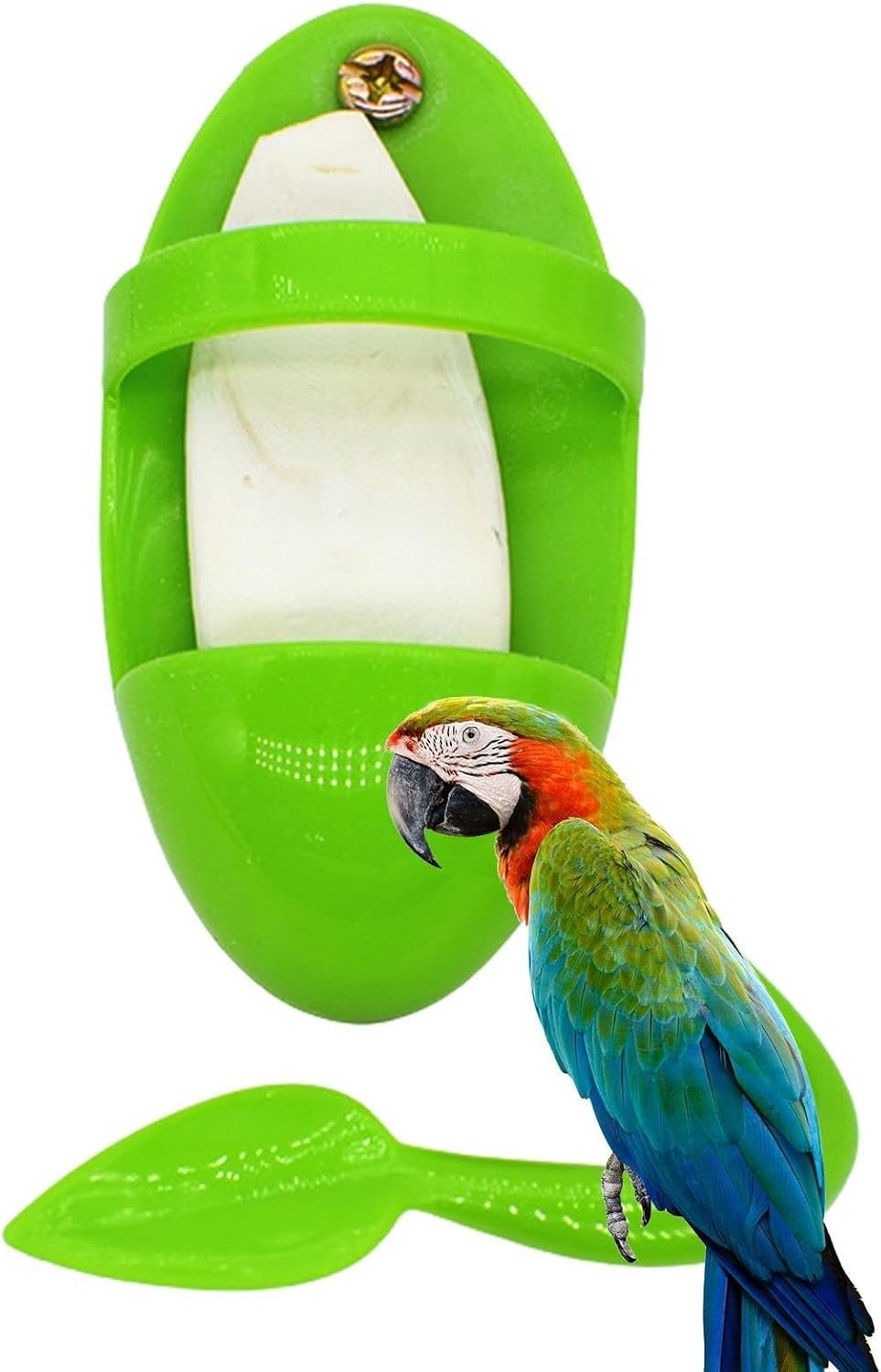 Cuddle Bone Holder – ABS Metal Adjustable Design | Cuttlebone Holder | Cuttlefish Skeleton Bird Accessory | Bird Cage Calcium Feeding Clip | For Pet Feeding Beak Care Cage Enrichment And Daily Avian H