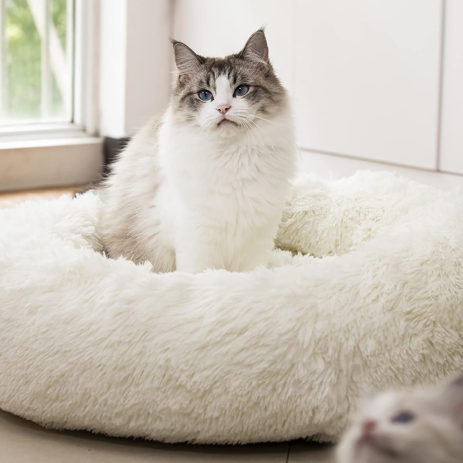 Anti Anxiety Round Fluffy Plush Faux Fur Warm Washable Dog Bed & Cat Bed, Original Bed for Small Medium Large Pets,Used to Relieve Joints and Improve Sleep（20″/24″/27”） (20″, White)