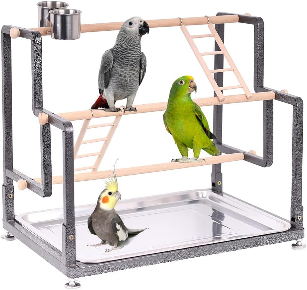 Bird Playground, Playstand for Small to Large Birds with Collapsible Metal Frame, Heavy Duty Quick-Install No Tool Request, 4 Standing Perch, 2 ladders and 2 Bird Cups