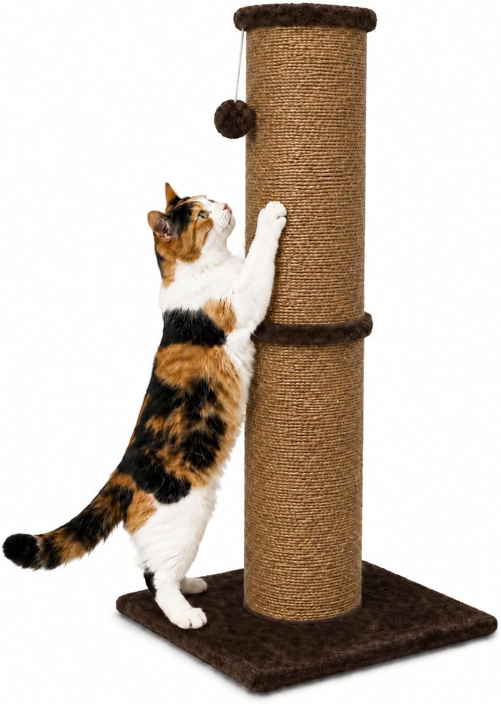 PAWSCRAT 32-Inch Tall Cat Scratching Post, 5.5-Inch Large Diameter, Sisal
