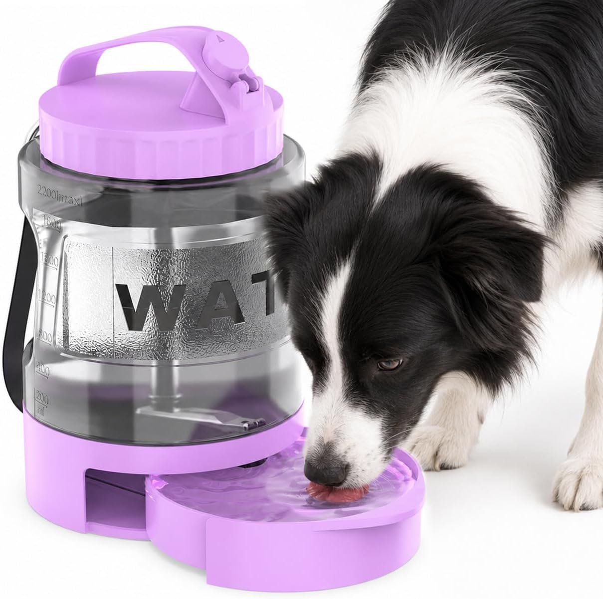 Portable Dog Water Bottle with Travel Bowl, 77 oz/2.2 L, Purple