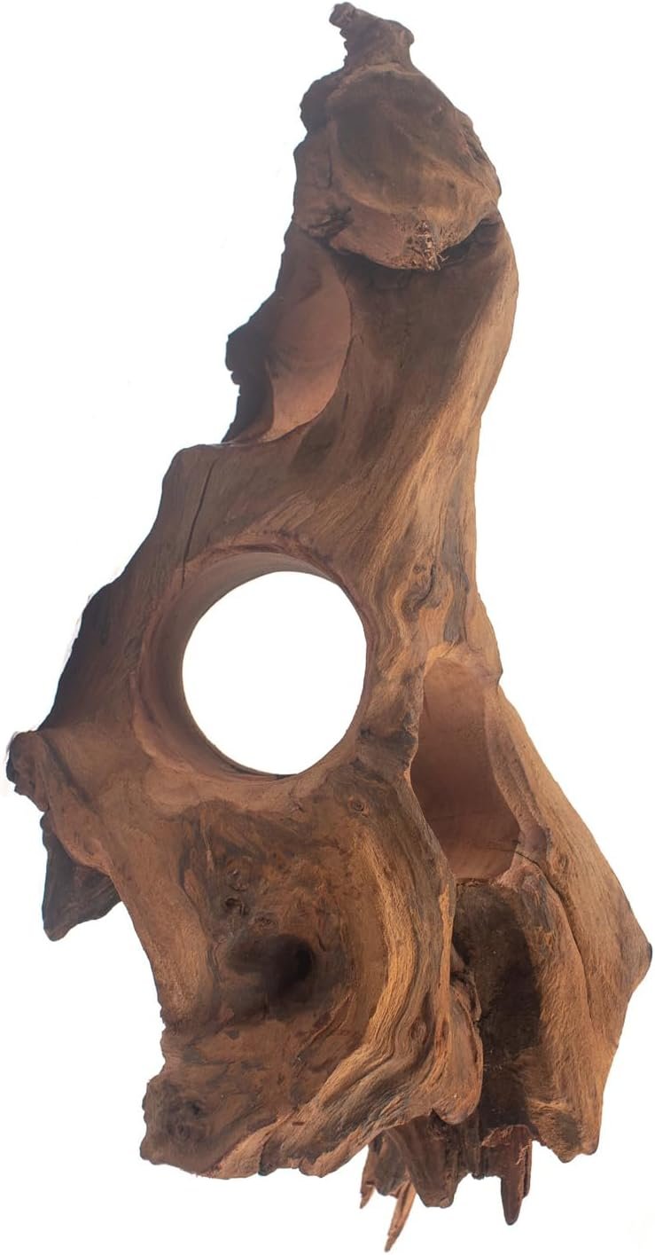 emours Porous Natural Driftwood for Aquarium, Aquascaping Driftwood with Holes, Hand-Selected Tunnels & Hideouts, Aquascaping Hardscape, Terrarium Reptile Décor, No Paint or Resin (8-12″ (20-30 cm))
