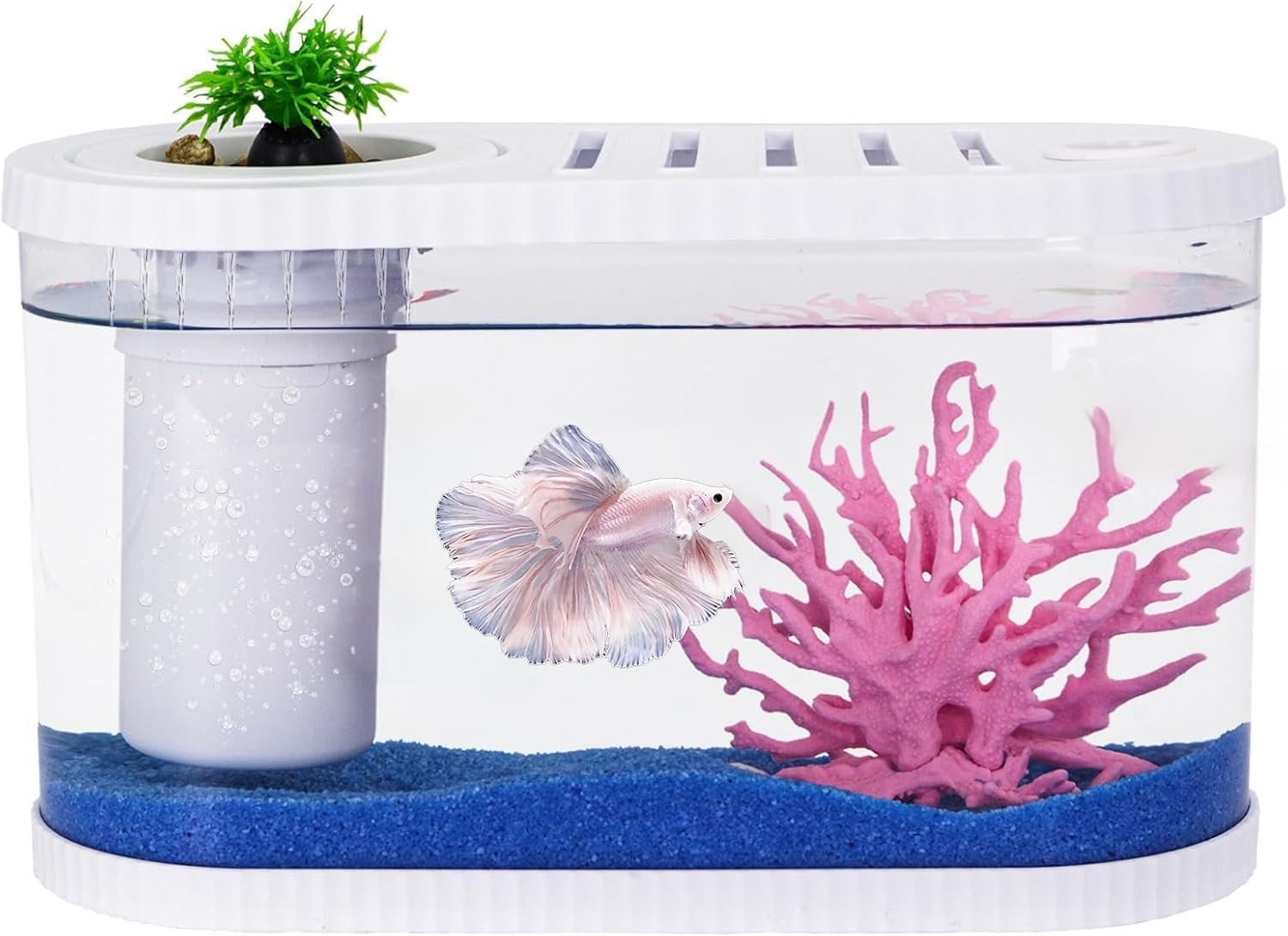 Fish Tank Kit, 2 Gallon Aquarium Starter Kit
