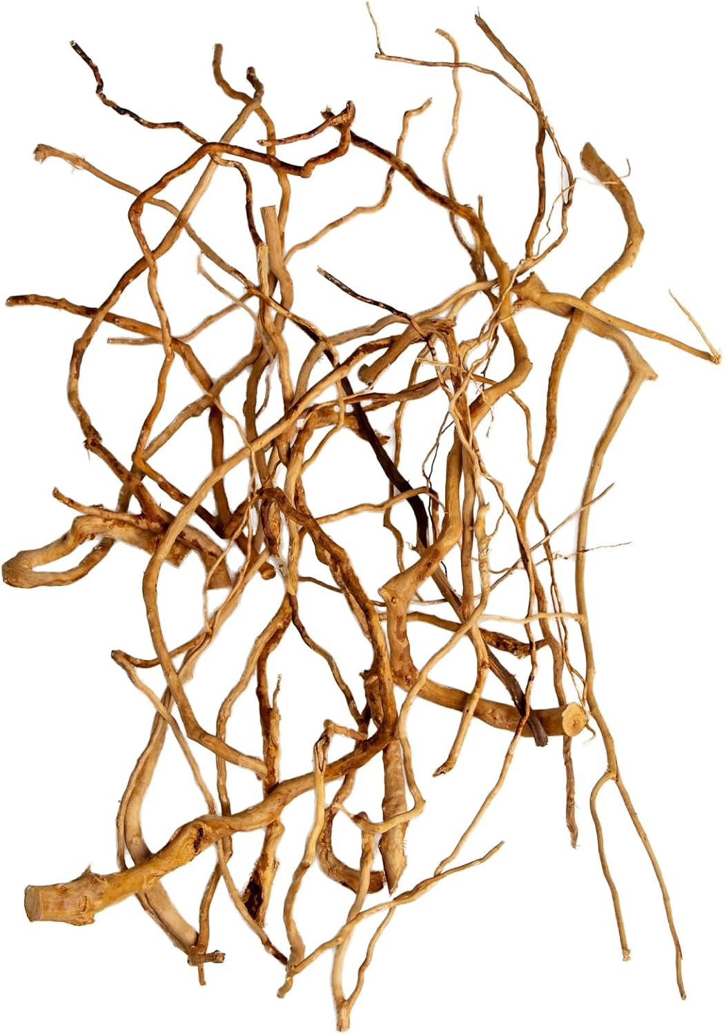 Natural Aquarium Driftwood, [170g] ( 20–40 cm /8–16 in) – Unique Root/Spider Wood Branches for Aquascaping, Planted Tanks & Terrariums, Fish & Plants Decoration, Each Piece One-of-a-Kind (Roots Only)