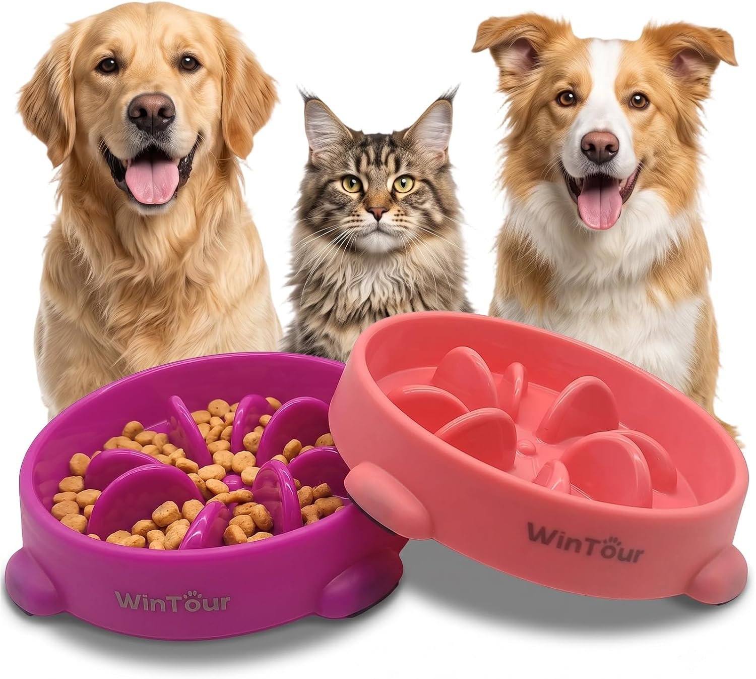 WinTour 2 Pack Slow Feeder Dog Bowls, BPA Free, Medium & Small Dog Bowls