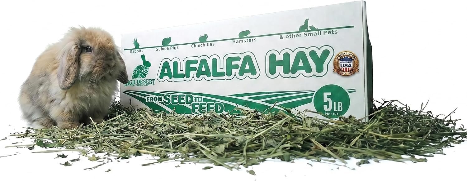 High Desert Alfalfa Hay for Young Rabbits and Guinea Pigs, 5 lb Box