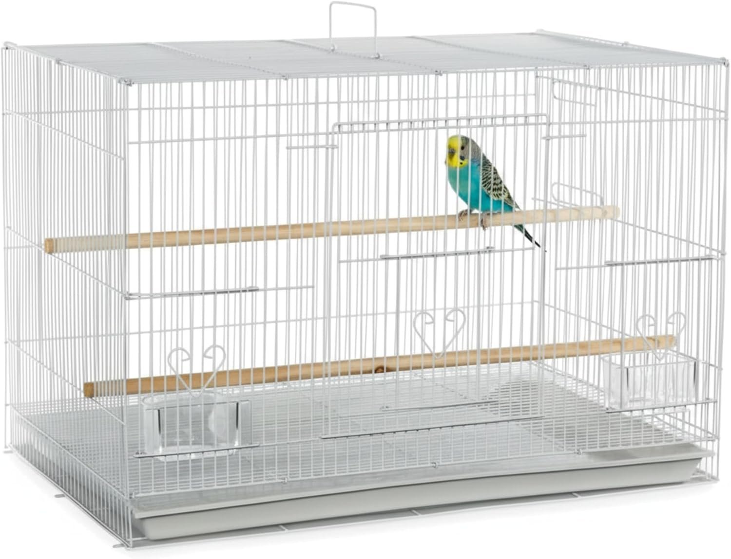 A&E Cage Co 503 Flight Bird Cage for Finches & Parakeets, 24″x16″x16″ White