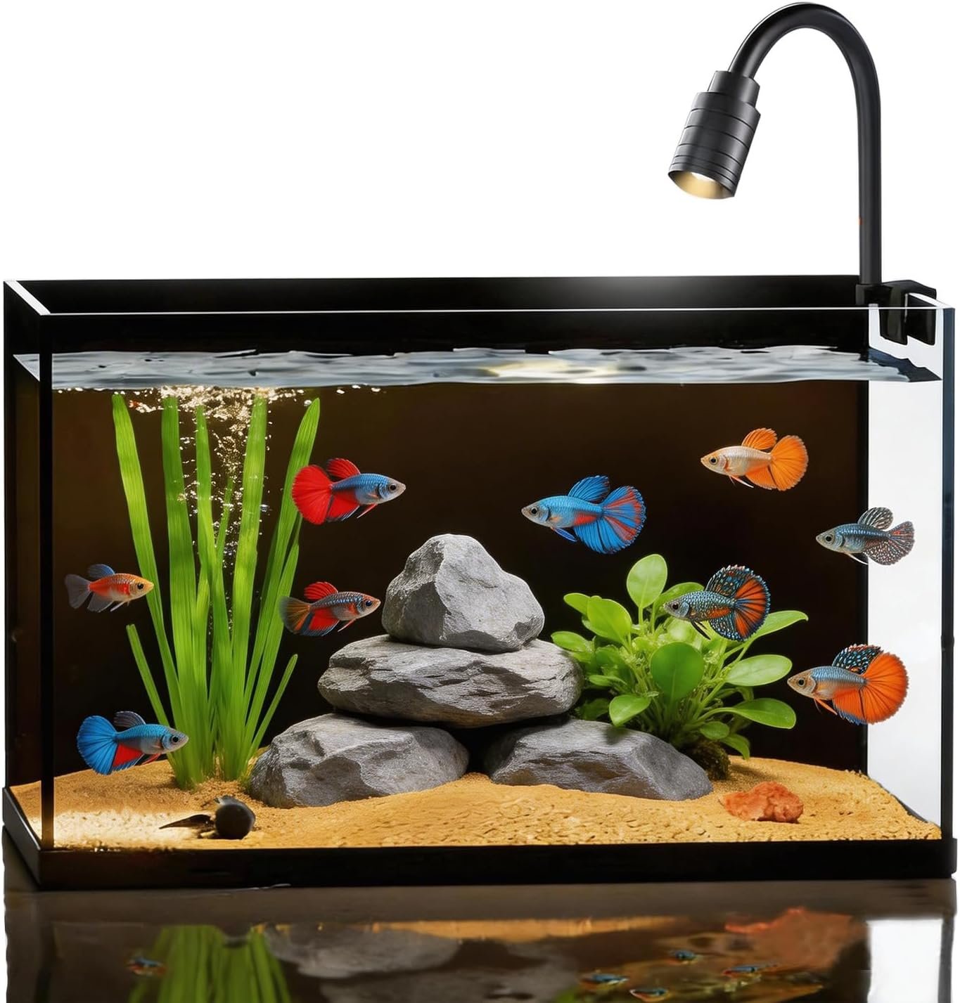 Ultra-Clear Glass Rimless Black Small Fish Tank Kit