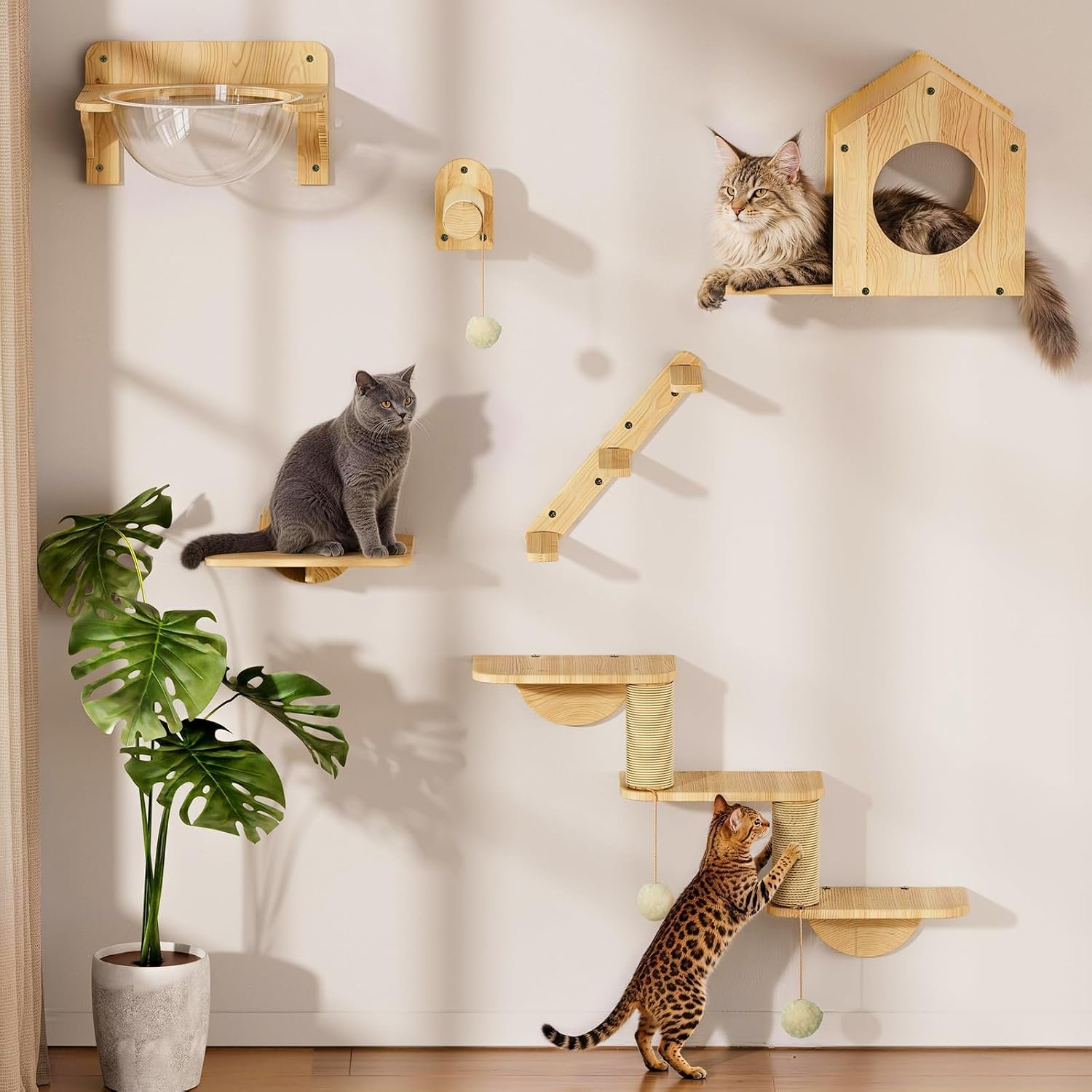 KAZAZOO Cat Wall Shelves, Wood Cat Wall Furniture Set for Indoor Cats,Space Saving Wall Mounted Design, Cozy Hammock, Multiple Rest Areas, Indoor Cat Activity,Solid Walls, for Small to Large Cats