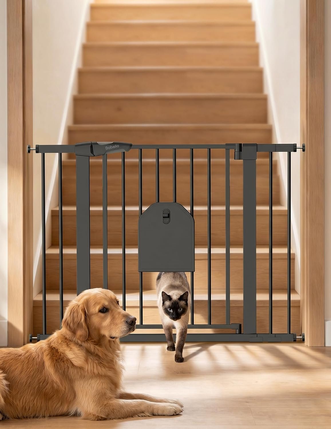 Babelio Auto Close Dog Gate with Cat Door, CatPrivilege I, 29-43″