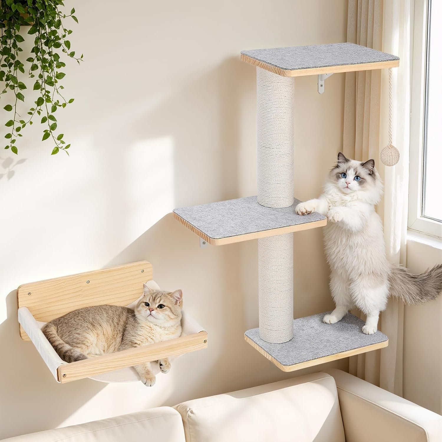 Wall Mounted Cat Shelves Set with Hammock