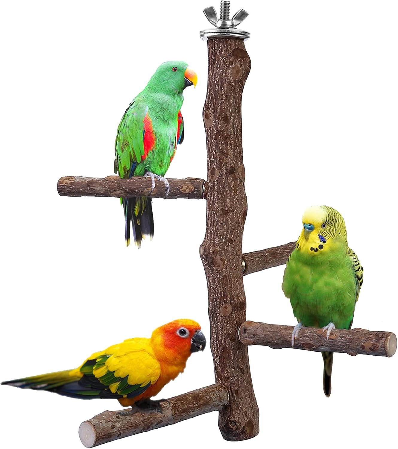 Bird Perch Stand Toy Natural Wood Bird Cage Branch Perch 10 Inch