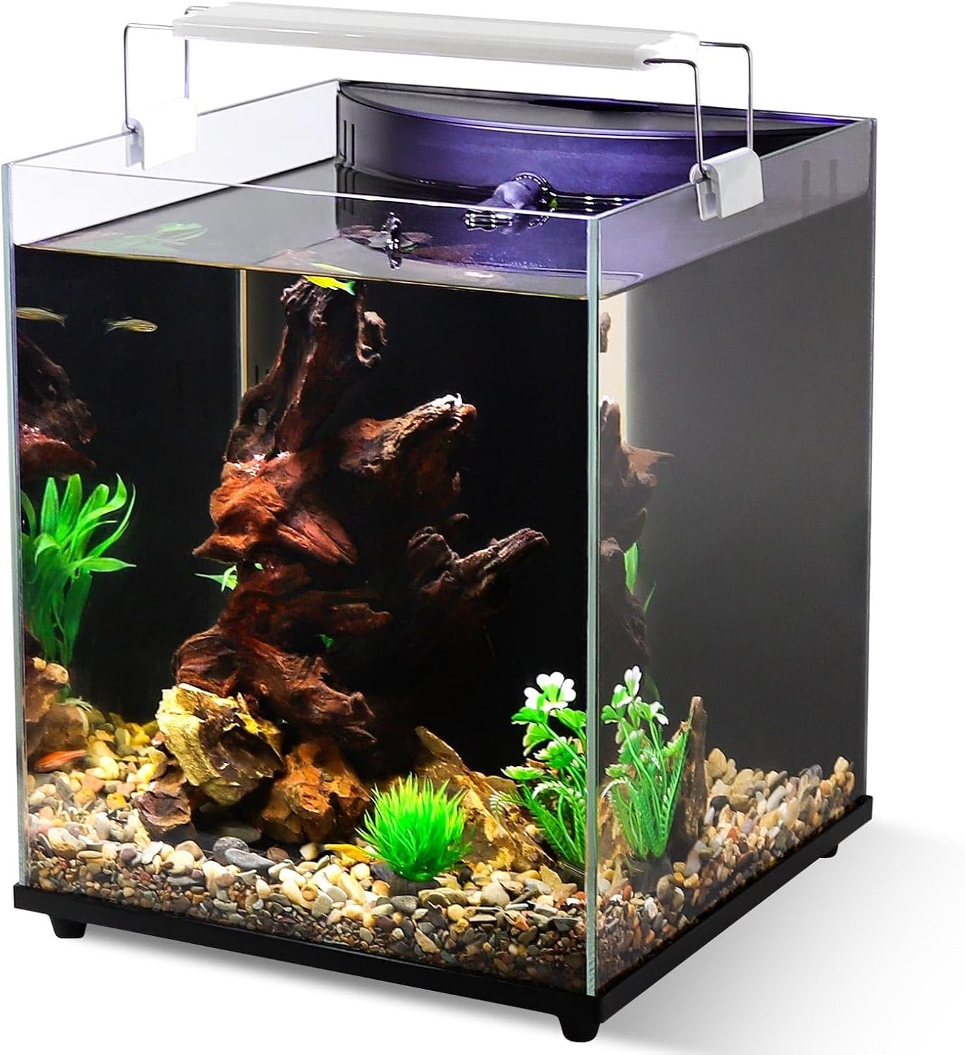 fishkeeper 5 Gallon Fish Tank Starter Kit, Small Aquarium with Filter