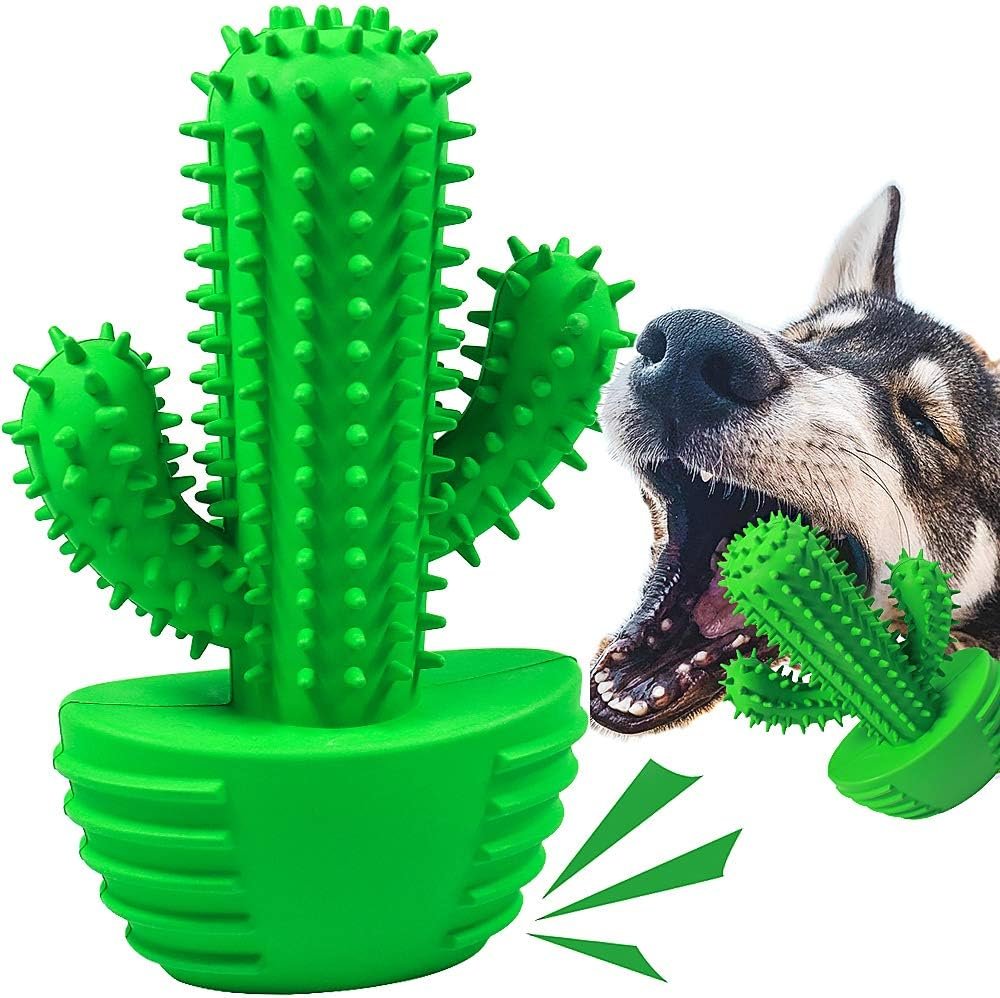 Pamlulu Cactus Dog Chew Toy for Aggressive Chewers, Tough Rubber Squeaky Toothbrush Toy with Textured Grooves, Interactive Dog Toy for Medium and Large Dogs