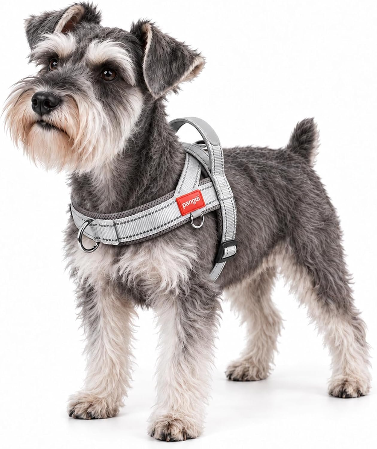 No Pull Dog Harness with Handle, Reflective Dog Vest, Light Grey, M
