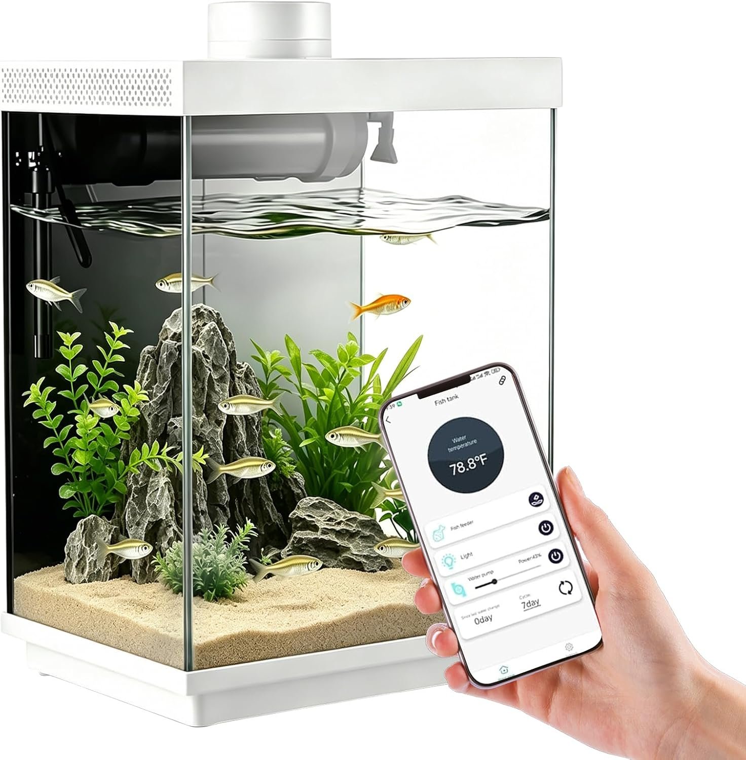 3 Gallon Smart Aquarium Kit, APP Control, Auto Feeder, LED Light, Self-Cleaning Filter, Glass Desktop Tank for Betta/Tetra/Goldfish, Dual-Tank Feeding Supported, Divider Not Included