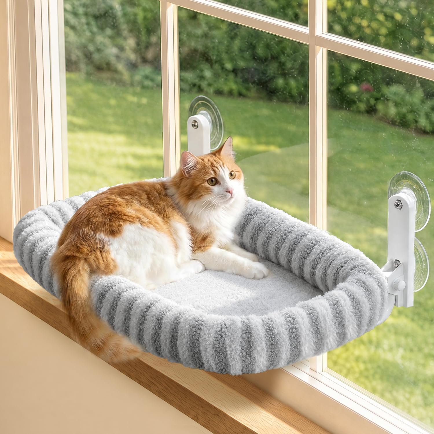 Zakkart Mellow Foldable Cat Window Perch, Upgraded Suction Cups (Gray, M)