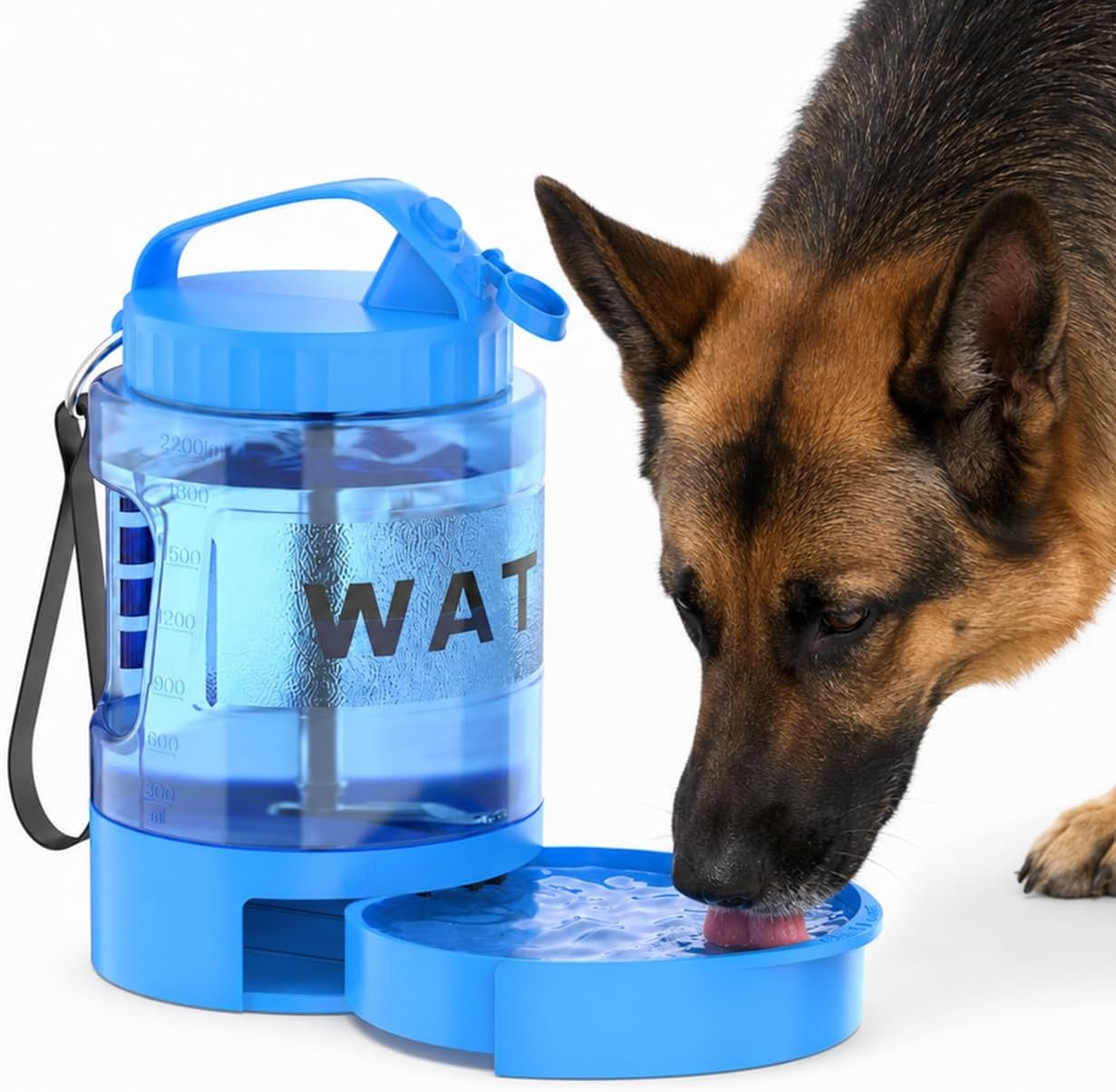 Portable Dog Water Bottle with Travel Bowl, 77 oz/2.2 L, Blue