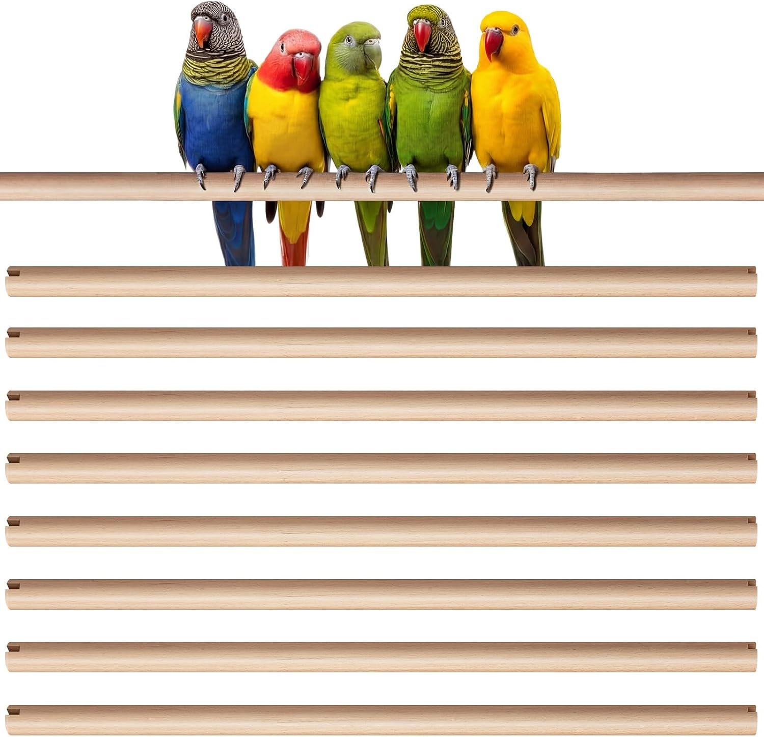 Sintuff Bird Perches Natural Wood Double Slots, 15 Inches, 8 Pcs