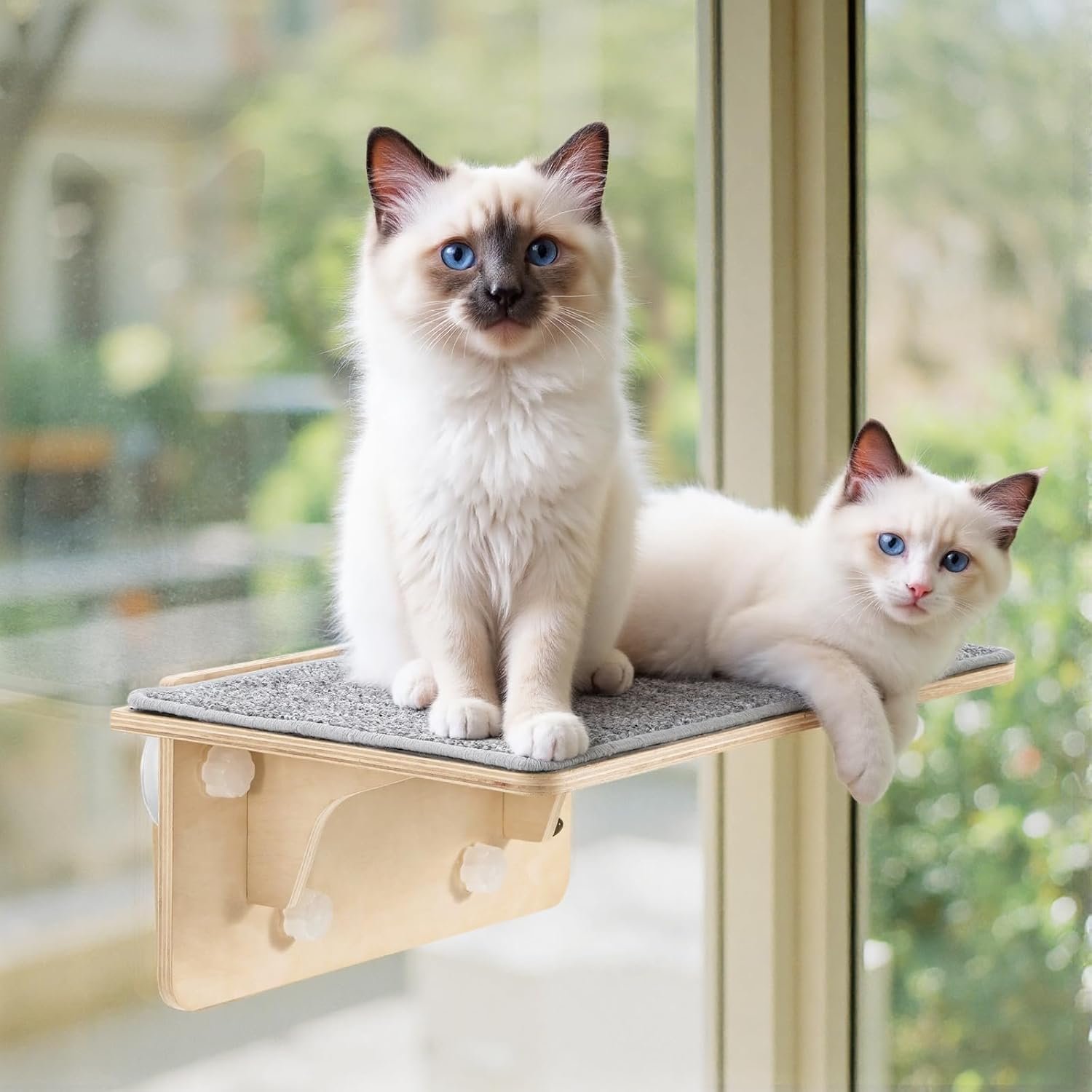 Pecute 2-in-1 Large Cat Window Perch & Wall Shelves, Solid Wood, 21″x11″