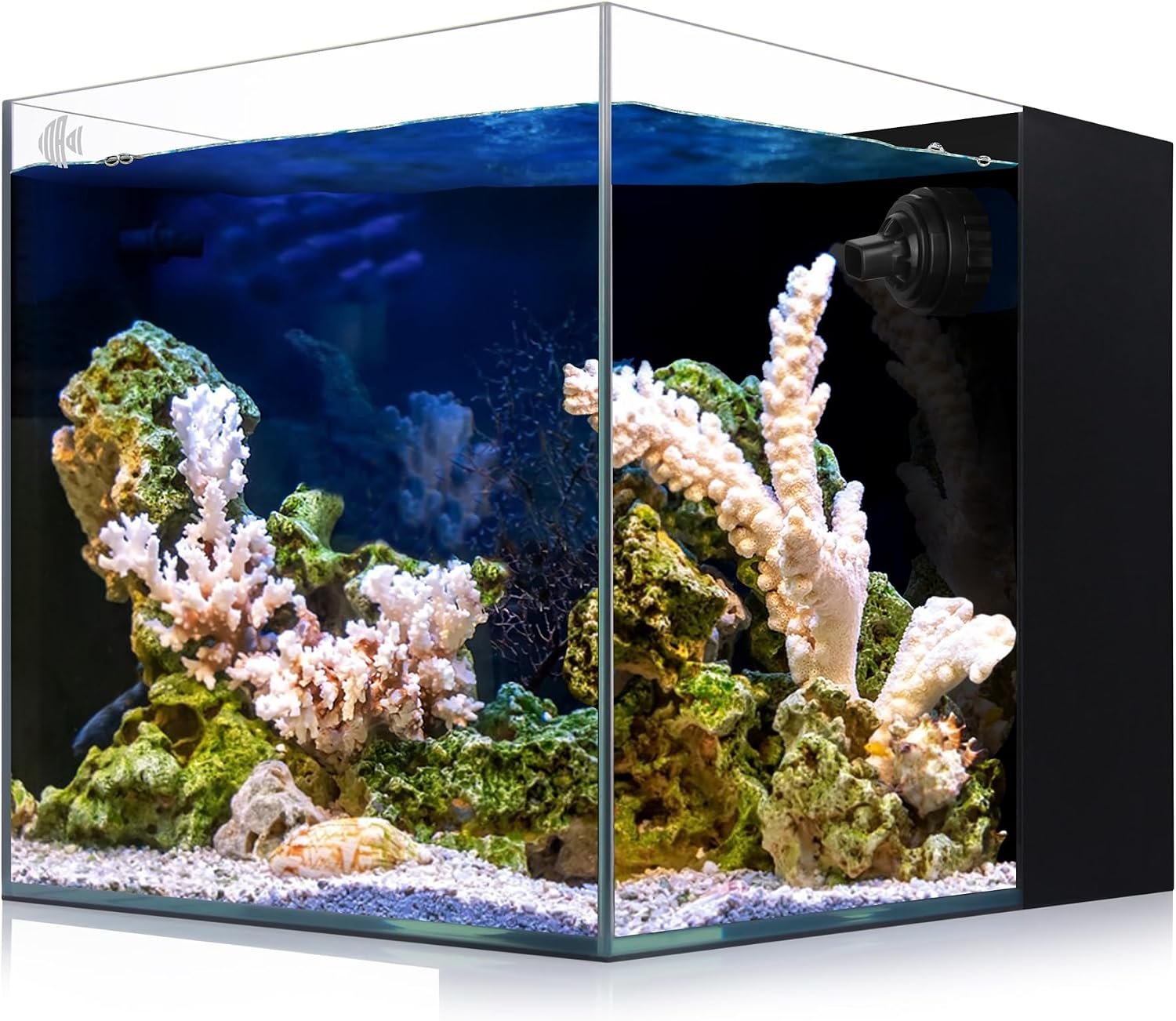 Coralland 8-Gallon Saltwater Aquarium – Ultra Clear Low Iron Glass, 45° Angled Joint Design, Crystal Clear Viewing, Perfect for Marine Fish & Reef Tanks & Freshwater
