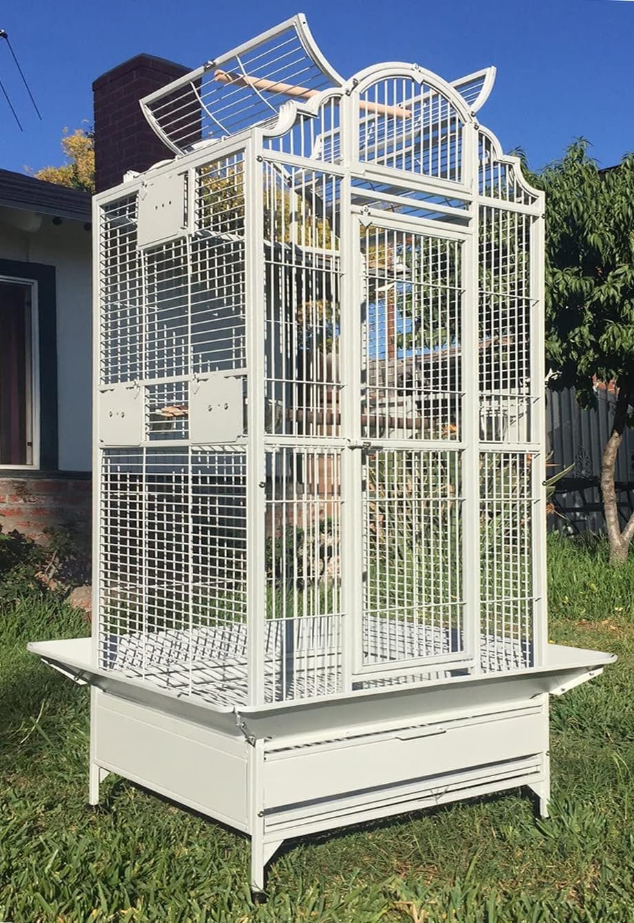 X-Large Elegance and Durable Wrought Iron Open Play Top Stand Bird Parrot Rolling Cage, Include Metal Seed Guard Solid Metal Feeder Nest Door Heavy Duty Lockable Rolling Castors