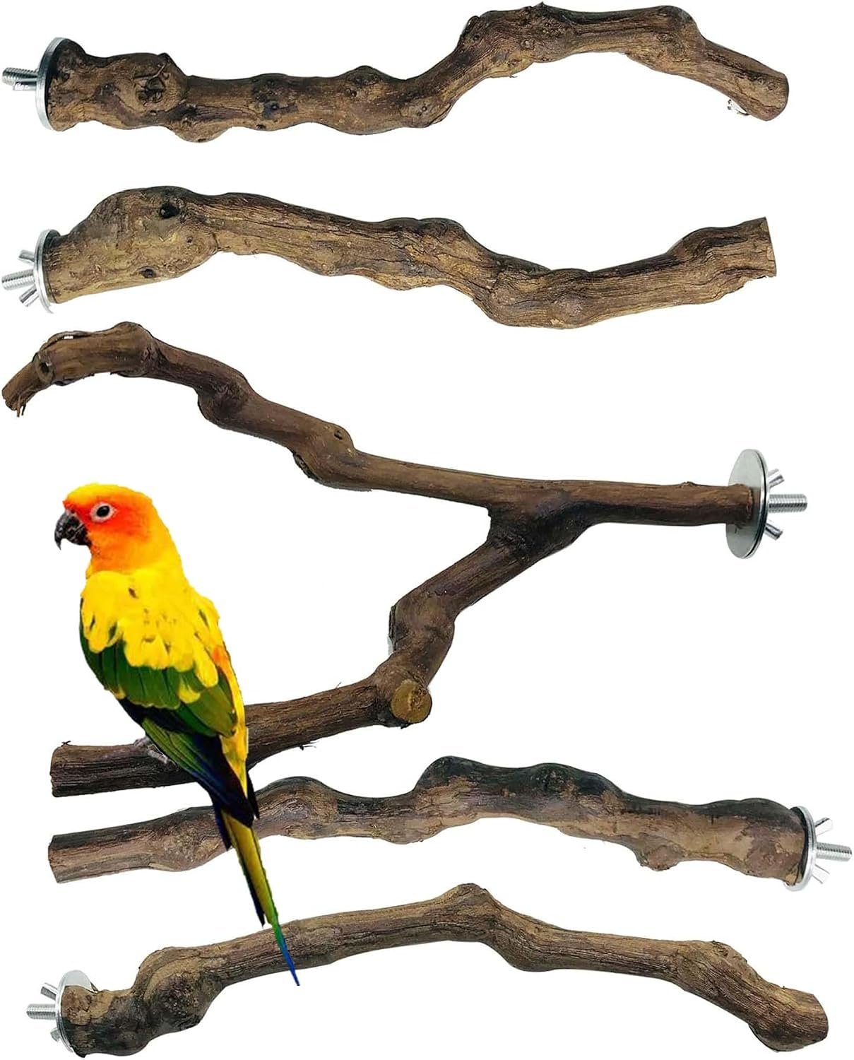 5 PCS Natural Grape Stick Perch Swing Chewing Toys for Parrot Cages, Cockatiels, Parakeets, Finches – Bird Standing Stick