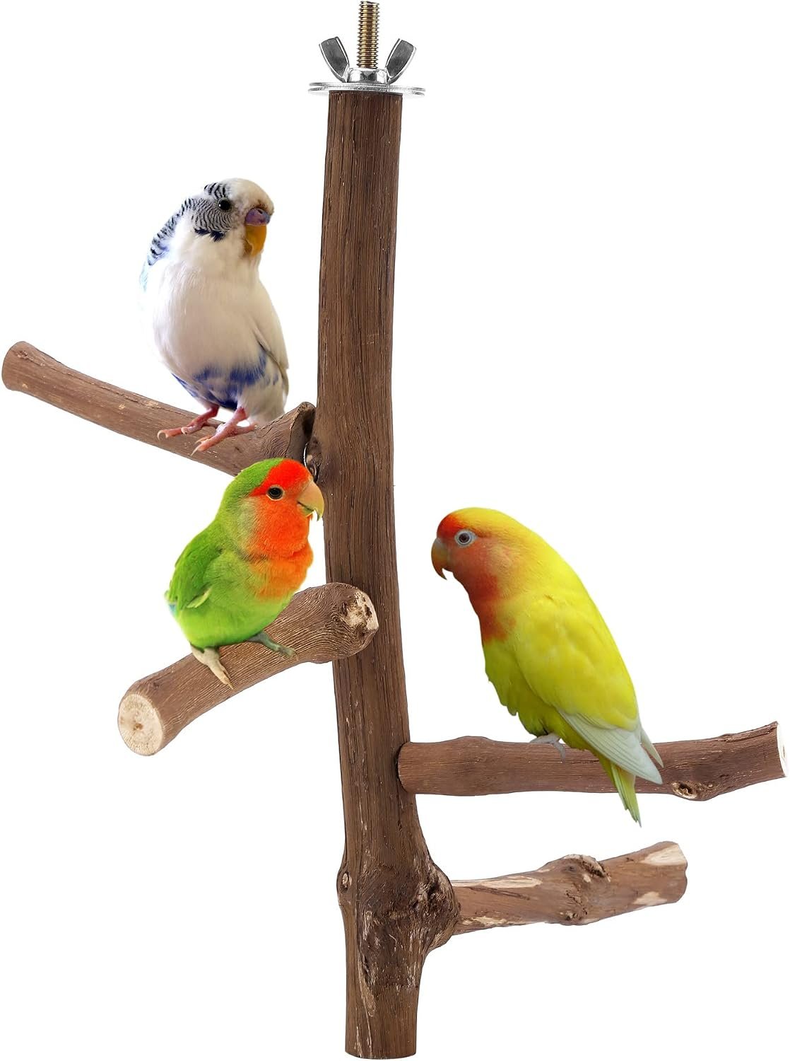 Bird Perch Stand Toy Grapevine Wood Bird Cage Branch Perch 10 Inch