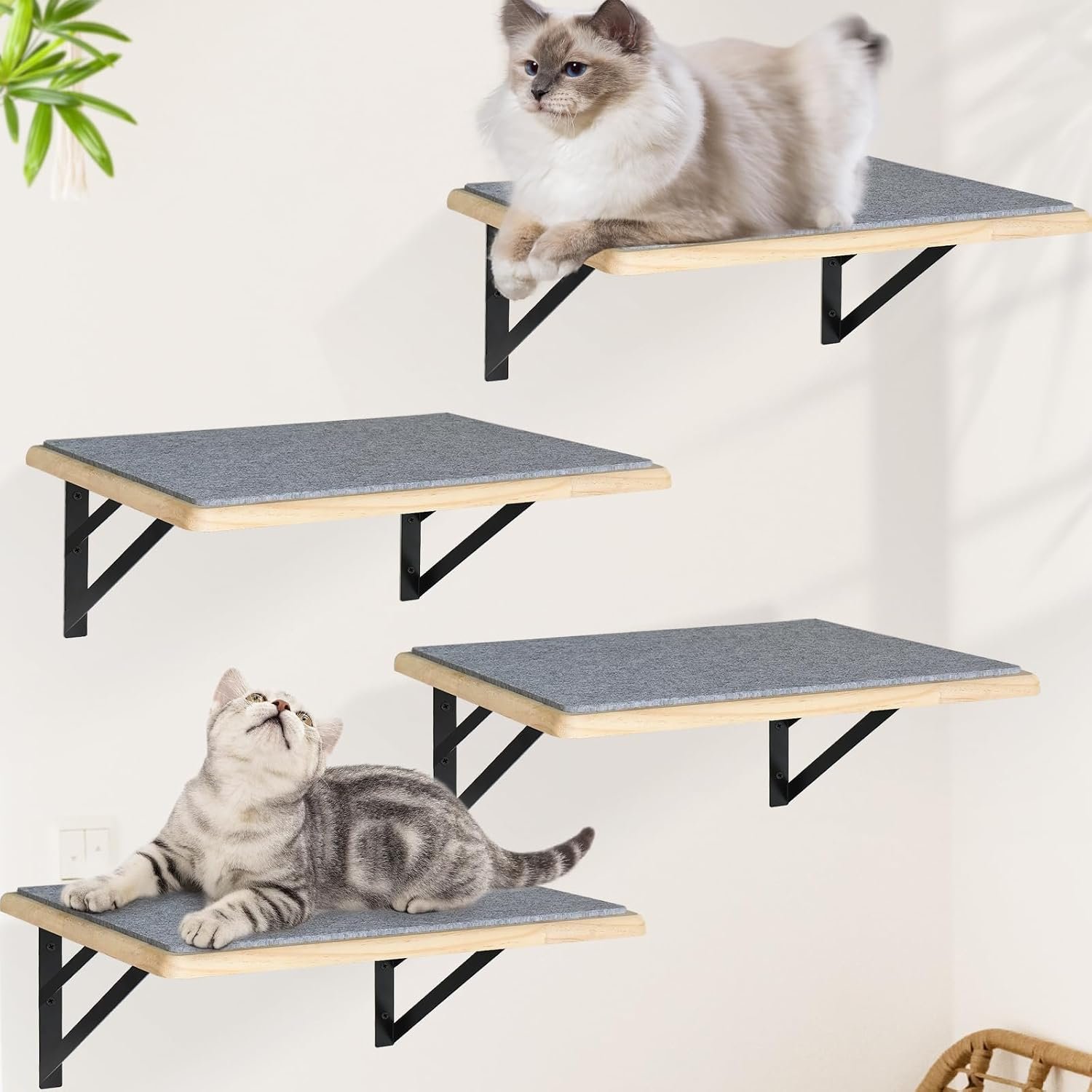 Burlywood Cat Shelves: Set of 4 Wood Cat Furniture Indoors – Climbing Shelf with Wall Mounted Scratching Pad & Hammock for Big Cats