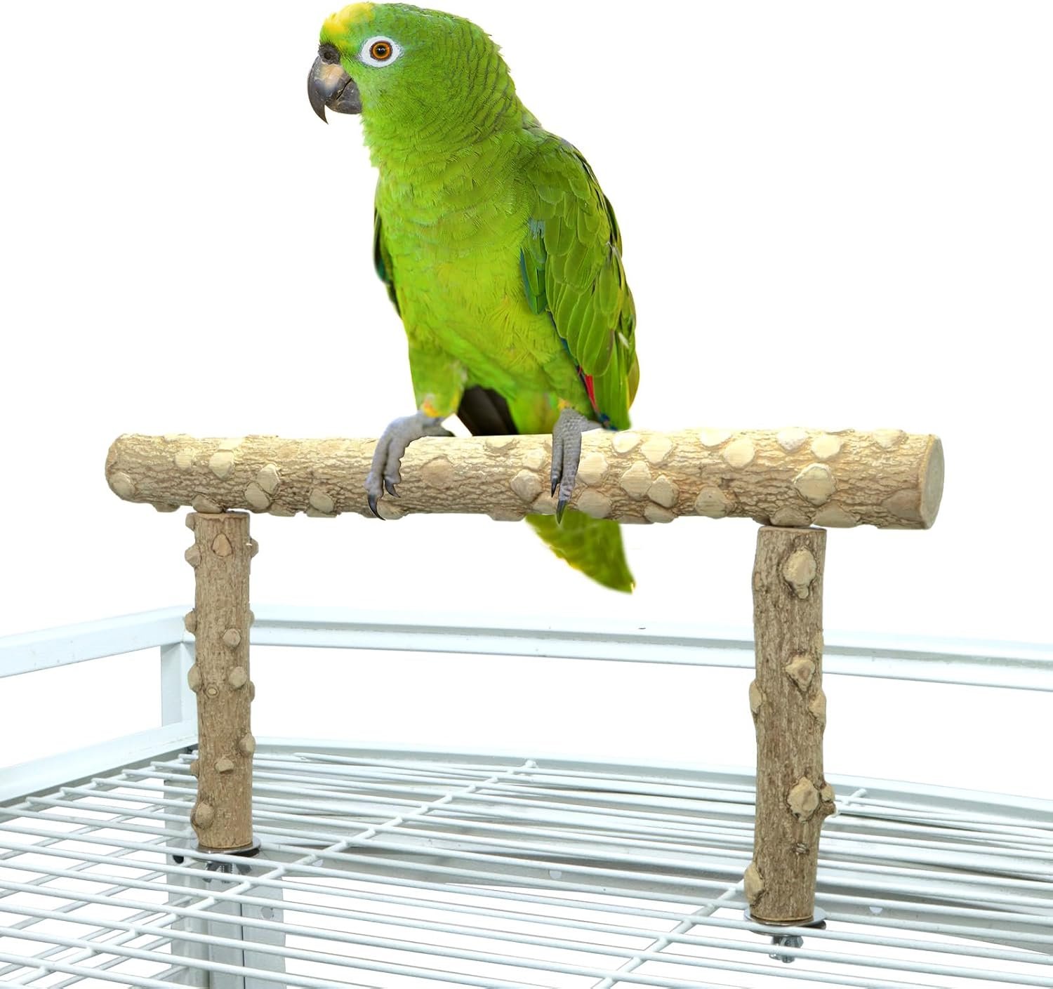 Bird Perch Stand,Natural Wood Cage Gym Toy Branch for Small Large Parrot