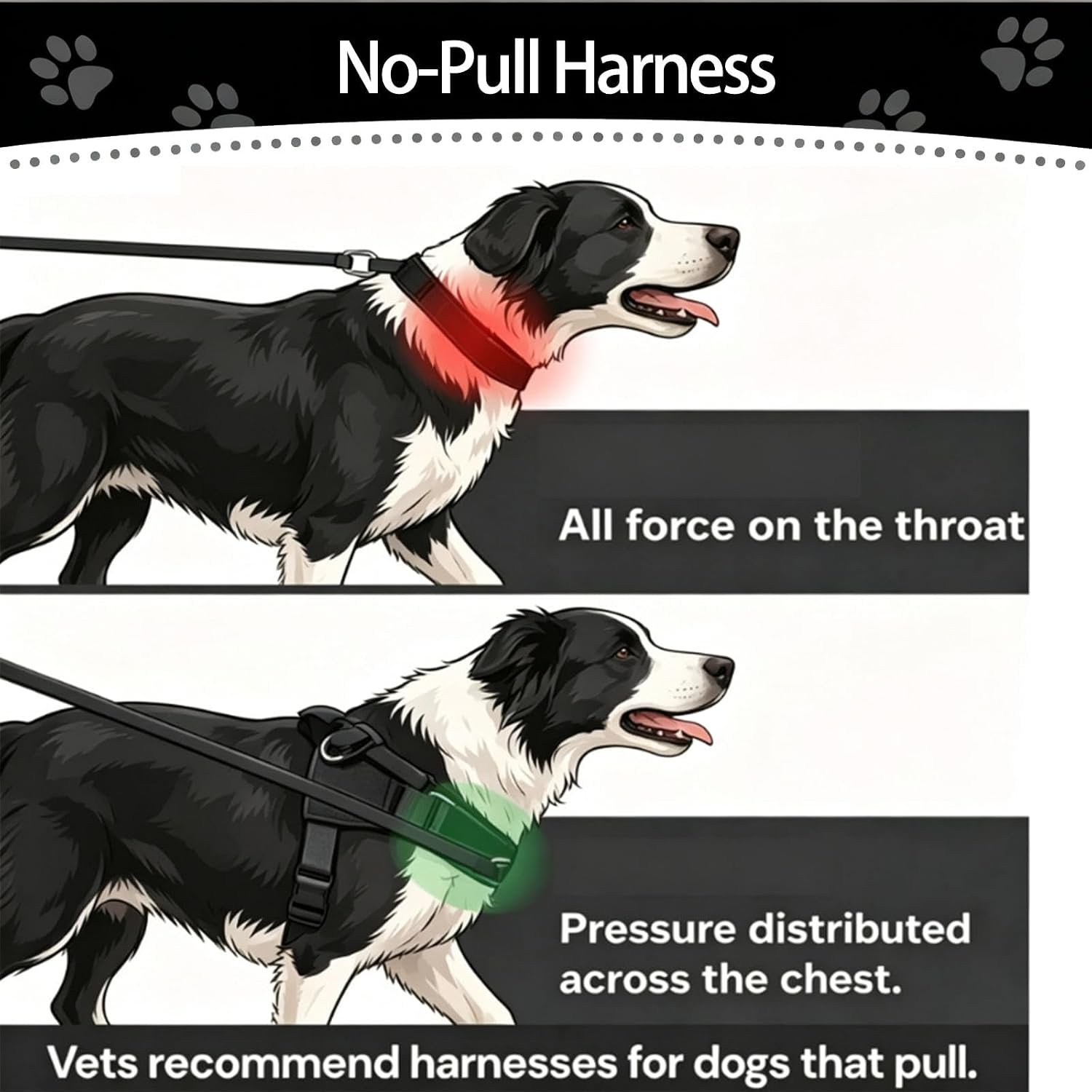 Pawly Lab Co No-Pull Harness,No Pull Dog Harness with Soft Padded Handle